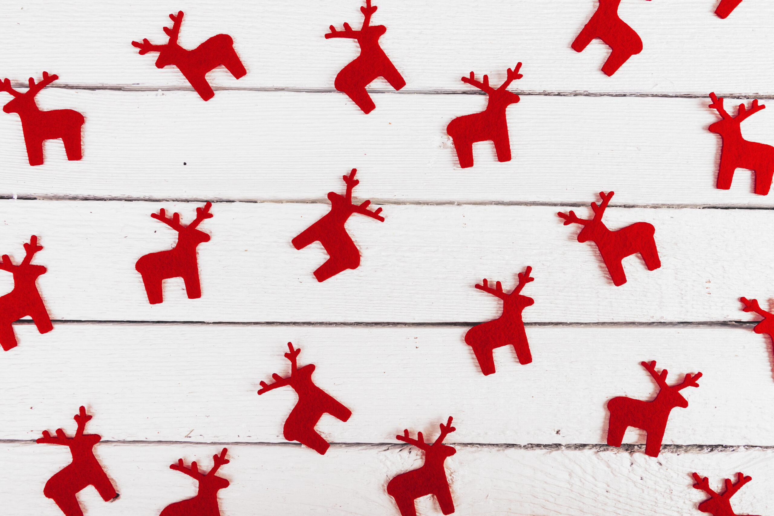 red deers red deers